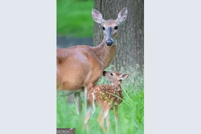 3102 Walt Stephens Road, Jonesboro, GA 30236 - Photo 37