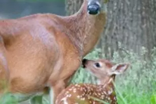 3102 Walt Stephens Rd, Jonesboro, GA 30236 - Photo 37