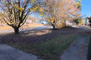 11187 Shannon Cir, Hampton, GA 30228 - Photo 3