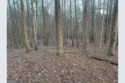 810 Bagwell Trail, Waleska, GA 30183 - Photo 13