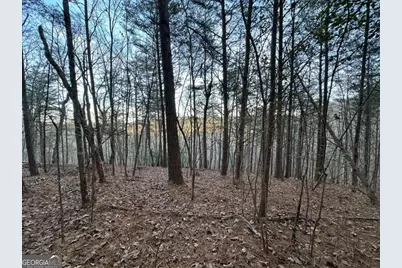 810 Bagwell Trail, Waleska, GA 30183 - Photo 3