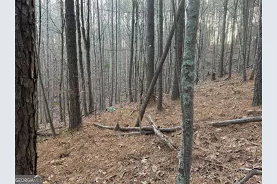 810 Bagwell Trail, Waleska, GA 30183 - Photo 9