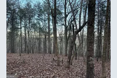 810 Bagwell Trail, Waleska, GA 30183 - Photo 11
