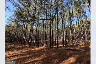 202 S Taylor Road, Talbotton, GA 31827 - Photo 19