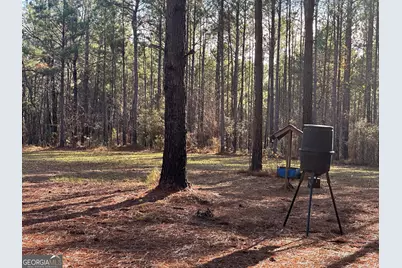 202 S Taylor Road, Talbotton, GA 31827 - Photo 23