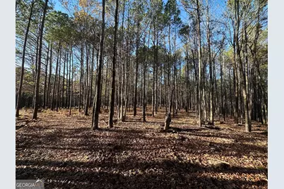 202 S Taylor Road, Talbotton, GA 31827 - Photo 13