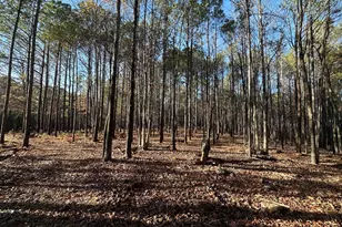 202 S Taylor Rd, Talbotton, GA 31827 - Photo 13