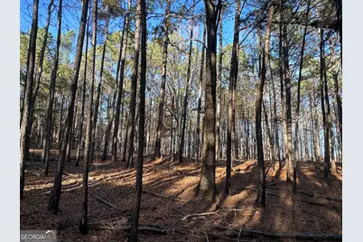 202 S Taylor Road, Talbotton, GA 31827 - Photo 31