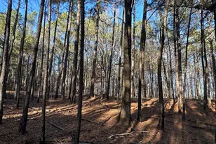 202 S Taylor Rd, Talbotton, GA 31827 - Photo 31