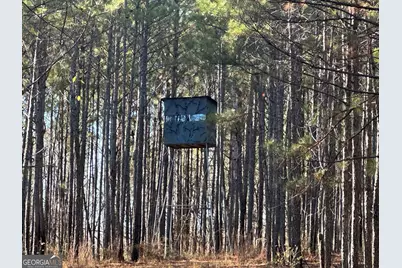 202 S Taylor Road, Talbotton, GA 31827 - Photo 21