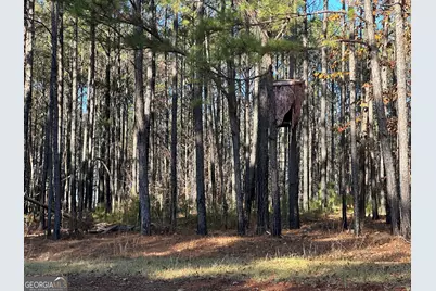 202 S Taylor Road, Talbotton, GA 31827 - Photo 17