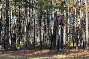 202 S Taylor Rd, Talbotton, GA 31827 - Photo 17