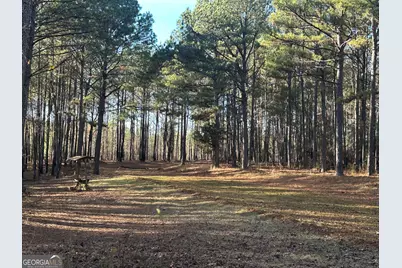 202 S Taylor Road, Talbotton, GA 31827 - Photo 29