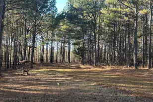 202 S Taylor Rd, Talbotton, GA 31827 - Photo 29