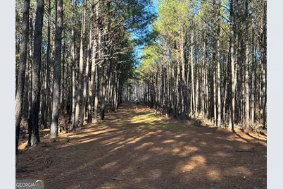 202 S Taylor Road, Talbotton, GA 31827 - Photo 25