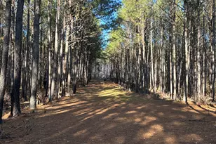 202 S Taylor Rd, Talbotton, GA 31827 - Photo 25