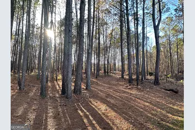 202 S Taylor Road, Talbotton, GA 31827 - Photo 5