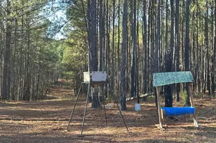 202 S Taylor Rd, Talbotton, GA 31827 - Photo 15