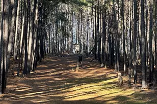 202 S Taylor Rd, Talbotton, GA 31827 - Photo 27