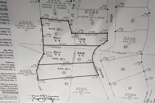 0 McDonald Ridgw, Tallapoosa, GA 30176 - Photo 1