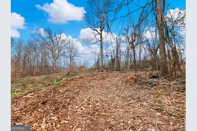 5222 Bogus Road, Gainesville, GA 30506 - Photo 41