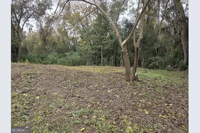 0 Mosley Street, Savannah, GA 31404 - Photo 5