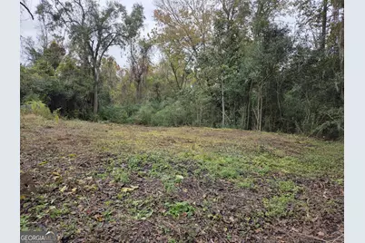 0 Mosley Street, Savannah, GA 31404 - Photo 1