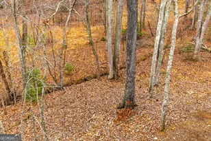 170 Ross Dr, Mineral Bluff, GA 30559 - Photo 21