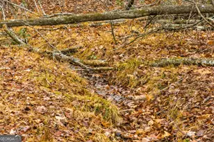 170 Ross Dr, Mineral Bluff, GA 30559 - Photo 29