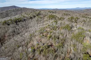 100 Smith Hill Rd, Cherrylog, GA 30522 - Photo 65