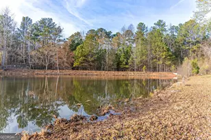 117 Martins Pond Rd, Newnan, GA 30263 - Photo 61