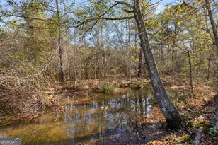 49 Lagrange Hwy, Greenville, GA 30222 - Photo 73