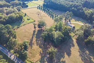 1081 Rehoboth Rd, Bishop, GA 30621 - Photo 11