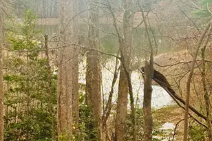 1048 Echota Rd, Clarkesville, GA 30523 - Photo 41