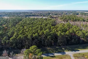 0 St Patrick, Saint Marys, GA 31558 - Photo 5