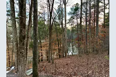 134 Rustica Drive, Newnan, GA 30263 - Photo 5