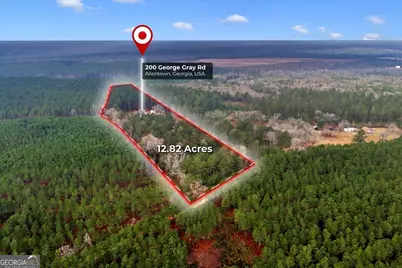 200 George Gray Road, Danville, GA 31017 - Photo 57