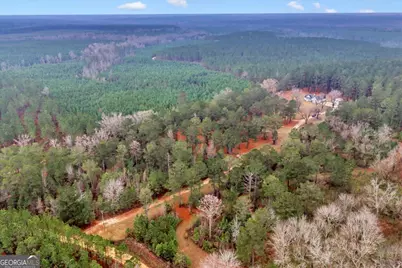 200 George Gray Road, Danville, GA 31017 - Photo 59