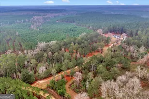 200 George Gray Rd, Danville, GA 31017 - Photo 59