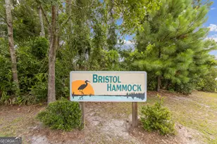 942 Bristol Hammock Cir, Kingsland, GA 31548 - Photo 55