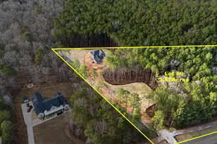 3921 Peeksville Rd, Locust Grove, GA 30248 - Photo 23