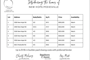 3921 Peeksville Rd, Locust Grove, GA 30248 - Photo 27