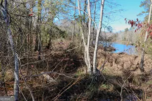 0 Hamilton Rd, Grovetown, GA 30813 - Photo 5