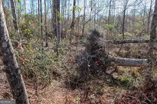 0 Hamilton Rd, Grovetown, GA 30813 - Photo 13