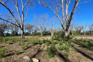 1100 Church Hill Rd, Preston, GA 31824 - Photo 13