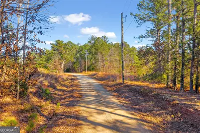 0 Mauldin Road, Elberton, GA 30635 - Photo 5