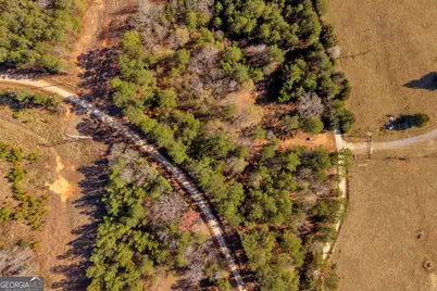 0 Mauldin Road, Elberton, GA 30635 - Photo 19
