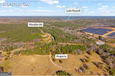 0 Mauldin Road, Elberton, GA 30635 - Photo 13