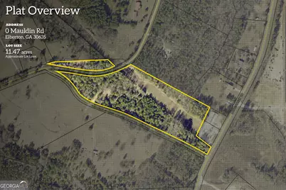 0 Mauldin Road, Elberton, GA 30635 - Photo 3