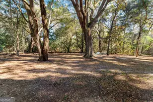 65 Stubbs Ln, Ellabell, GA 31308 - Photo 49